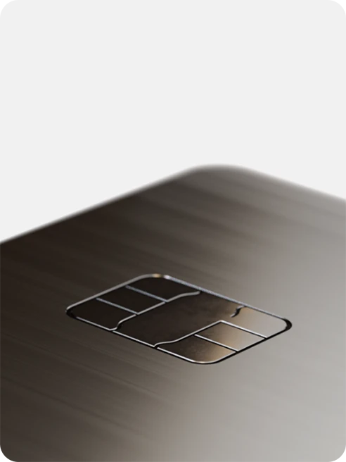 ラグジュアリーカードに採用されているパナジウム製の小型チップ